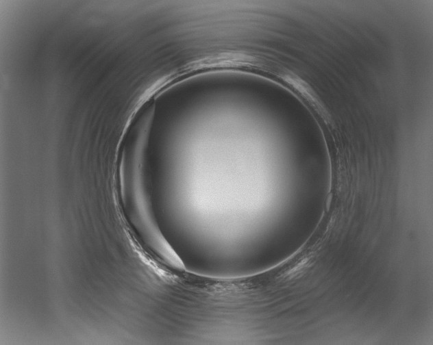 X0000052600850200507011154