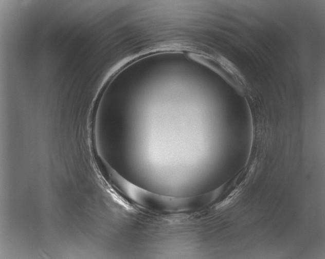 X0000052600854200507011155