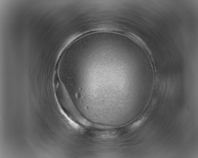 X0000052600855200507011155