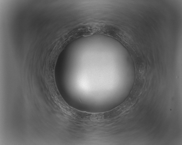 X0000052600865200507011154