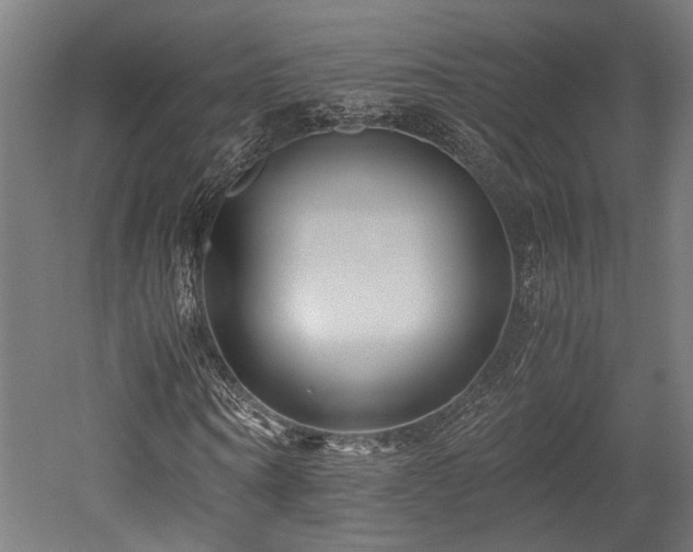 X0000052600866200507011154