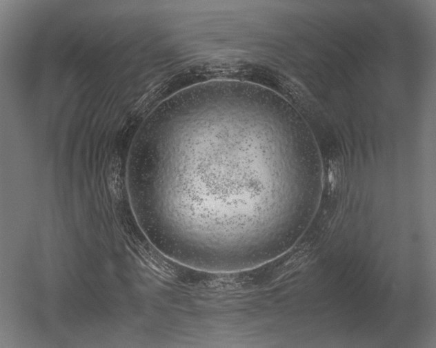 X0000052600867200507011154