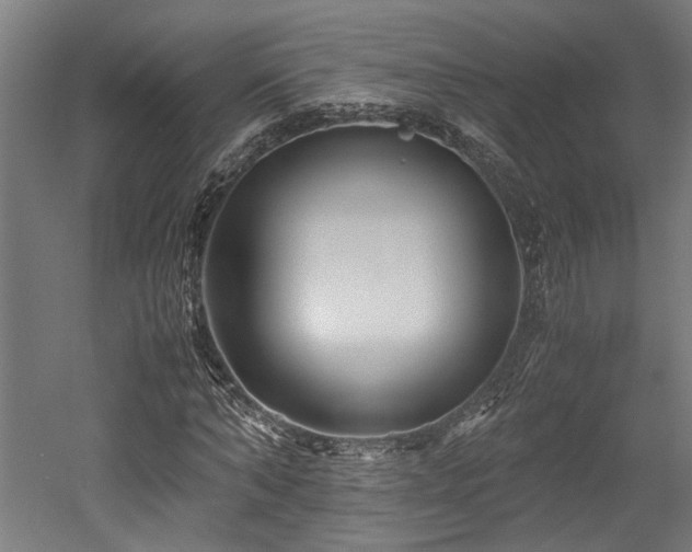 X0000052600870200507011154