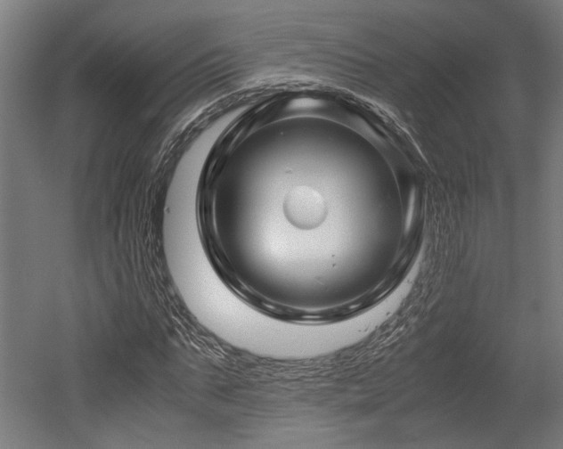 X0000052600871200507011154