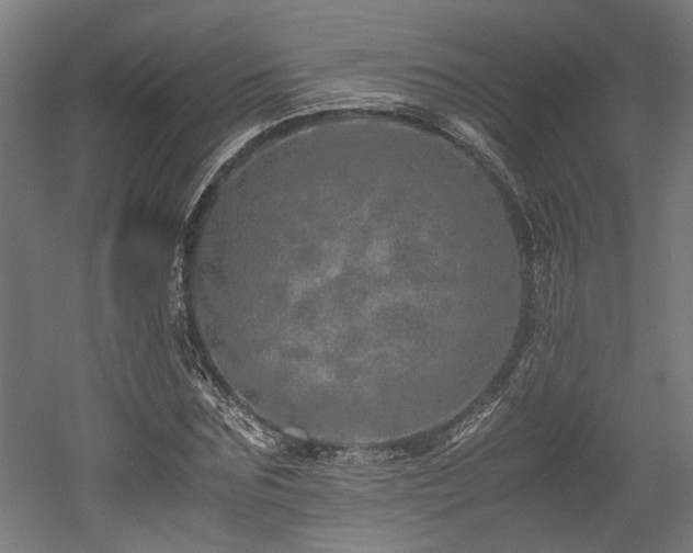 X0000052600875200507011154
