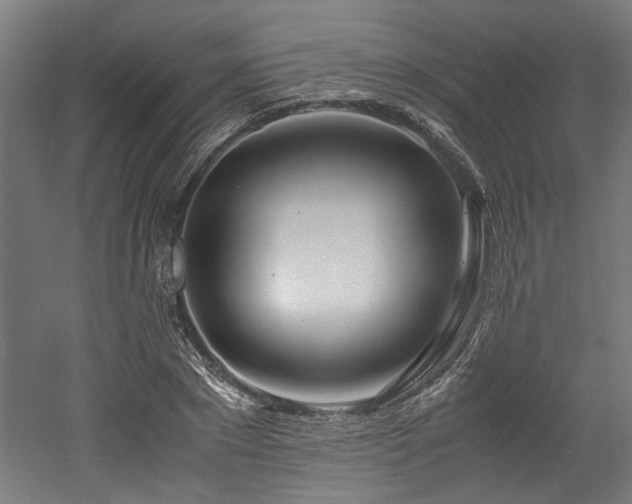 X0000052600881200507011154