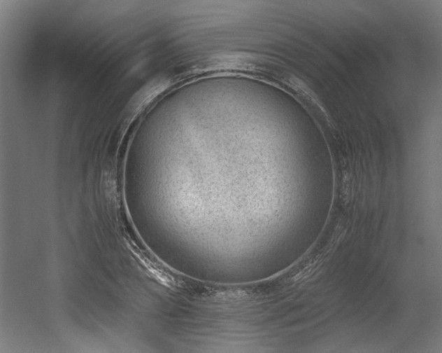 X0000052600882200507011154