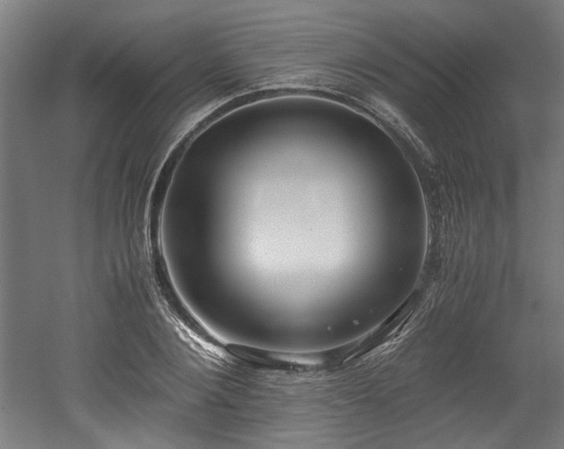 X0000052600884200507011154