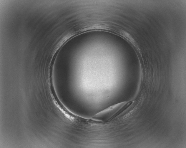 X0000052600898200507011153