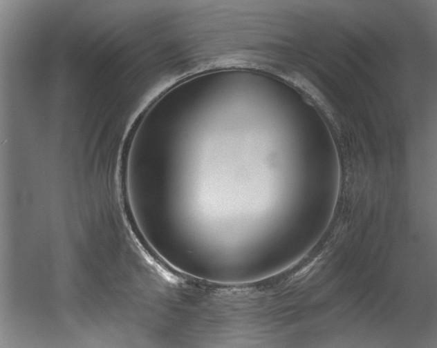 X0000052600902200507011153