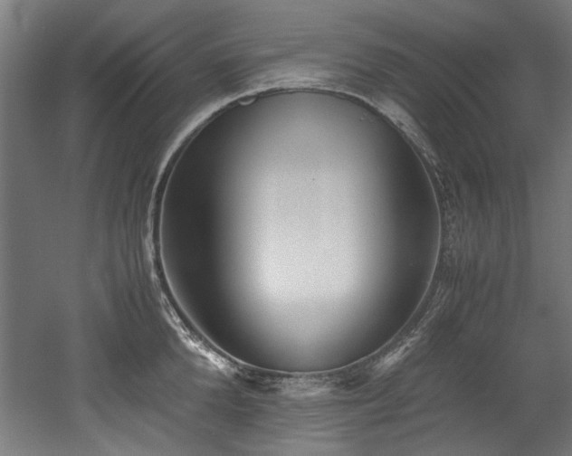 X0000052600904200507011153