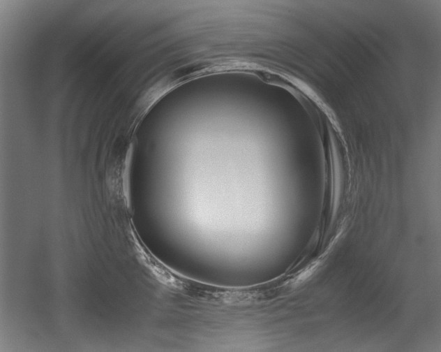 X0000052600905200507011153