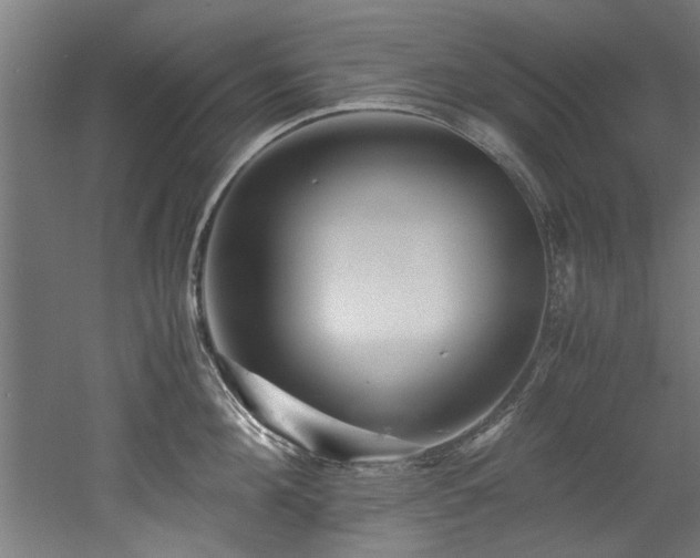 X0000052600908200507011153