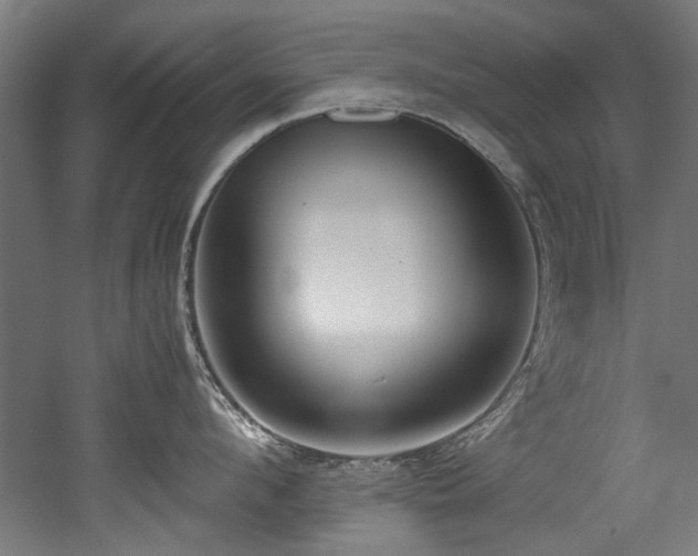 X0000052600912200507011153