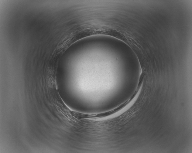 X0000052600916200507011152