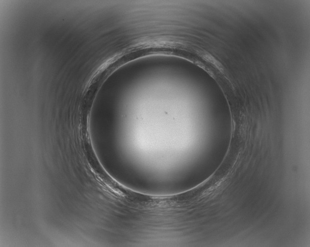 X0000052600922200507011152