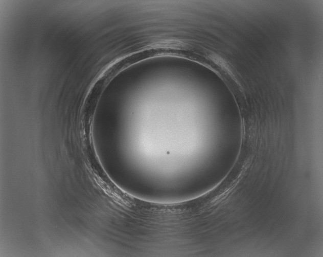 X0000052600923200507011152