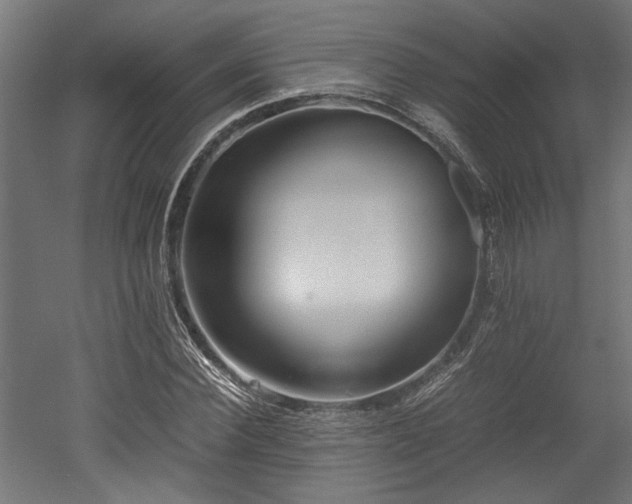 X0000052600924200507011152