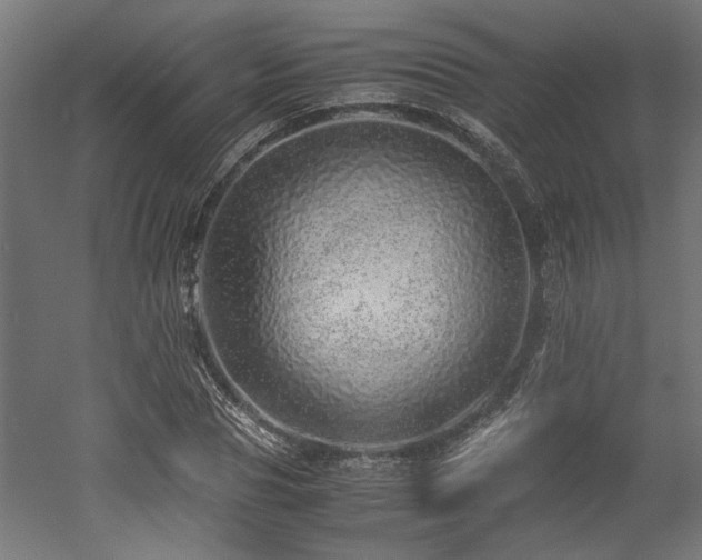 X0000052600929200507011153