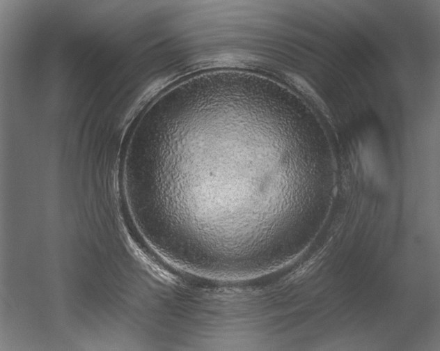 X0000052600938200507011153