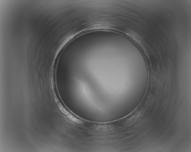 X0000052600941200507011153