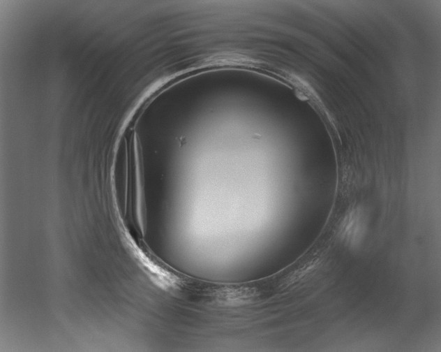 X0000052600947200507011153