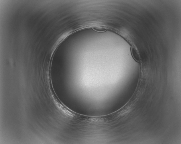 X0000052600954200507011153