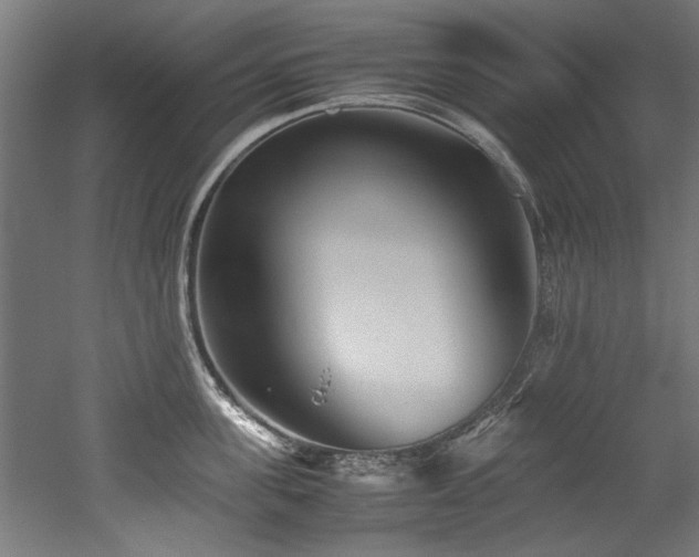 X0000052600955200507011153