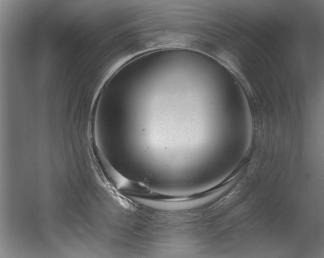 X0000052600956200507011153