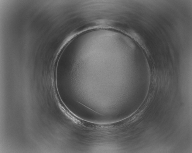 X0000052600958200507011153