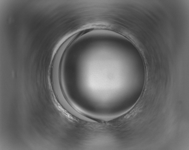X0000052600960200507011153