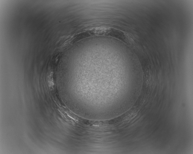 X0000052600962200507011152