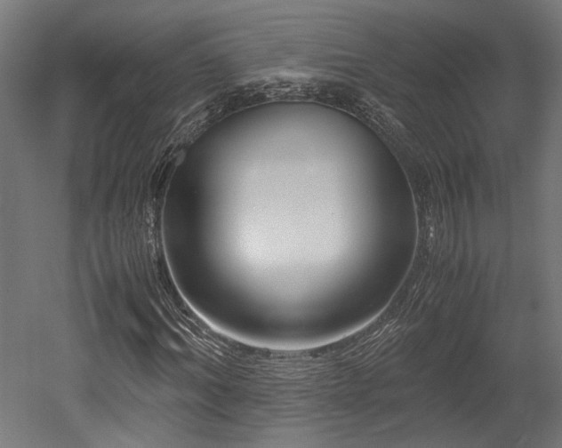 X0000052600964200507011152