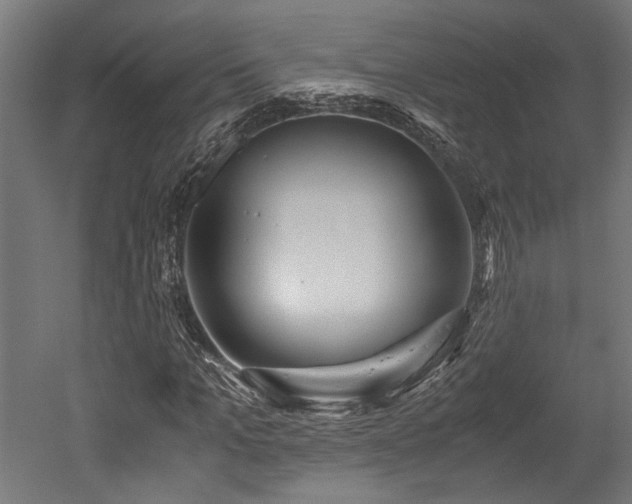 X0000052600965200507011152