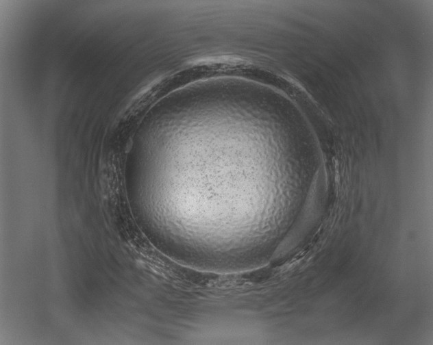 X0000052600967200507011152