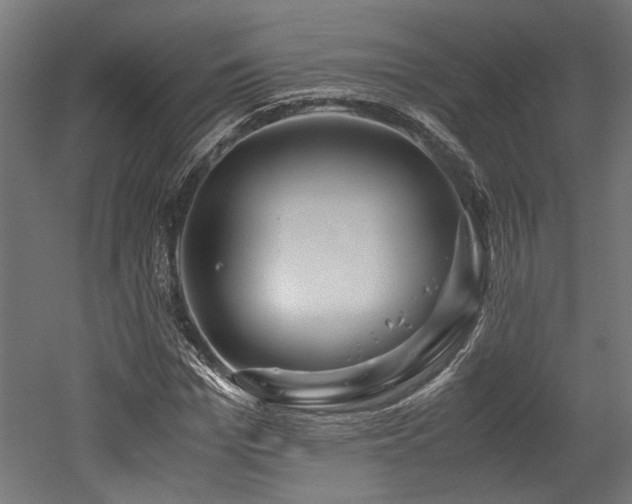 X0000052600969200507011152