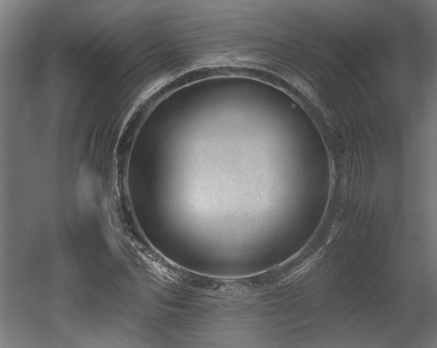 X0000052600974200507011152