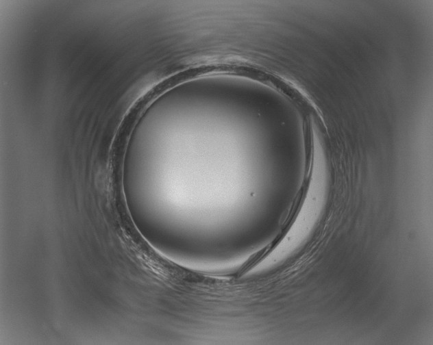 X0000052600975200507011152