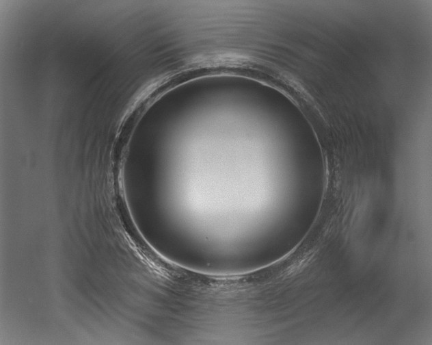 X0000052600978200507011152