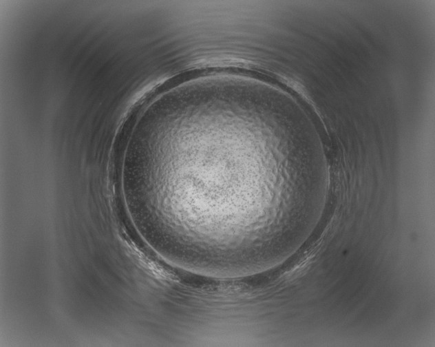 X0000052600979200507011152