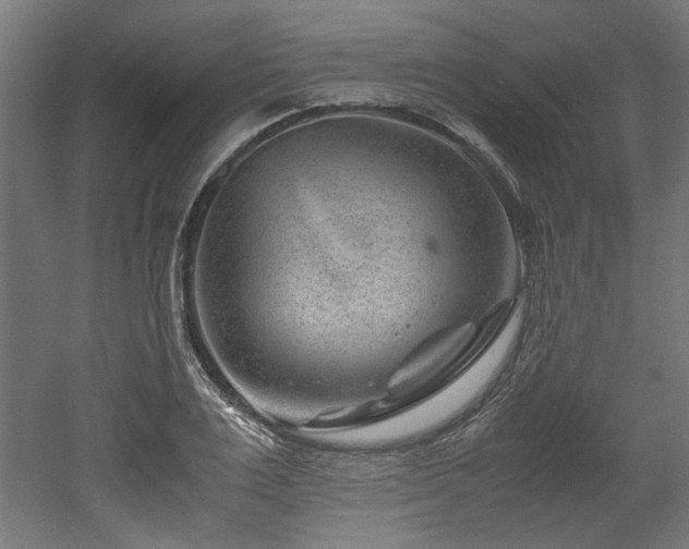 X0000052600983200507011152