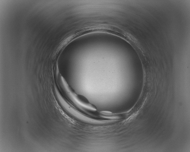 X0000052600985200507011152