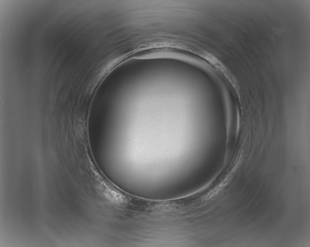 X0000052600993200507011152
