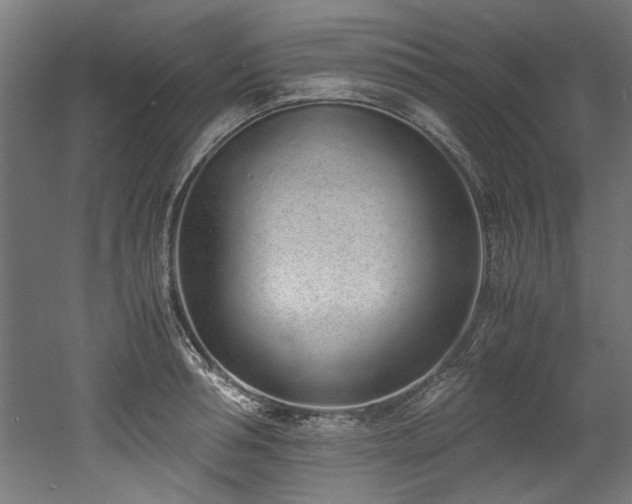 X0000052600994200507011152
