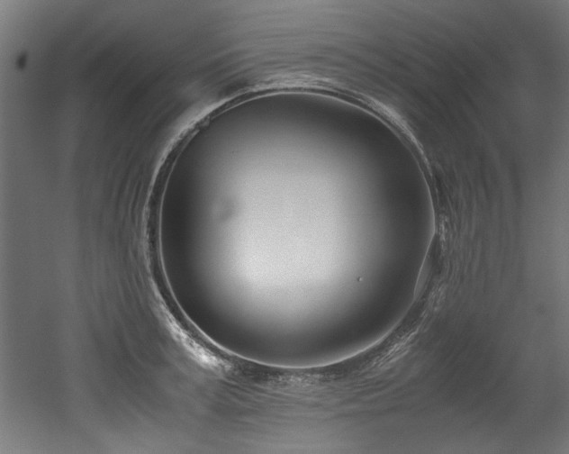 X0000052600995200507011152