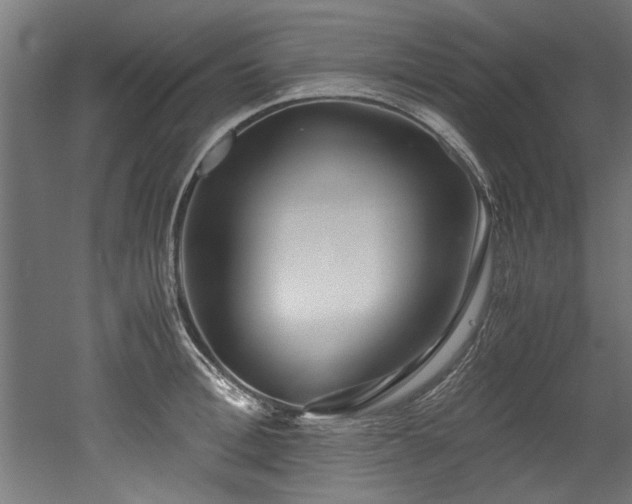 X0000052600996200507011152