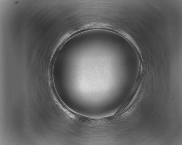 X0000052600997200507011152