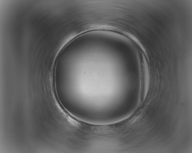 X0000052601007200507011151
