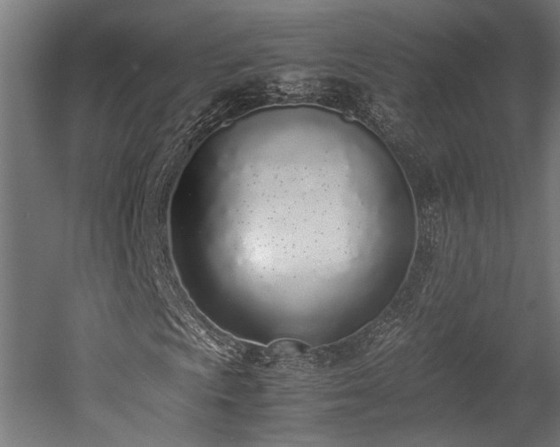 X0000052601009200507011151