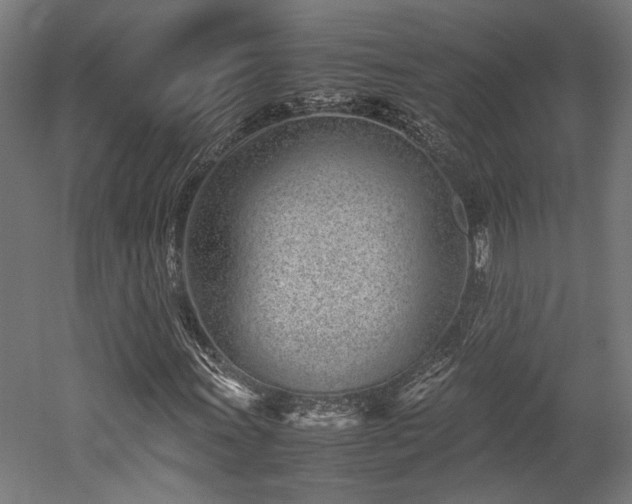 X0000052601011200507011151
